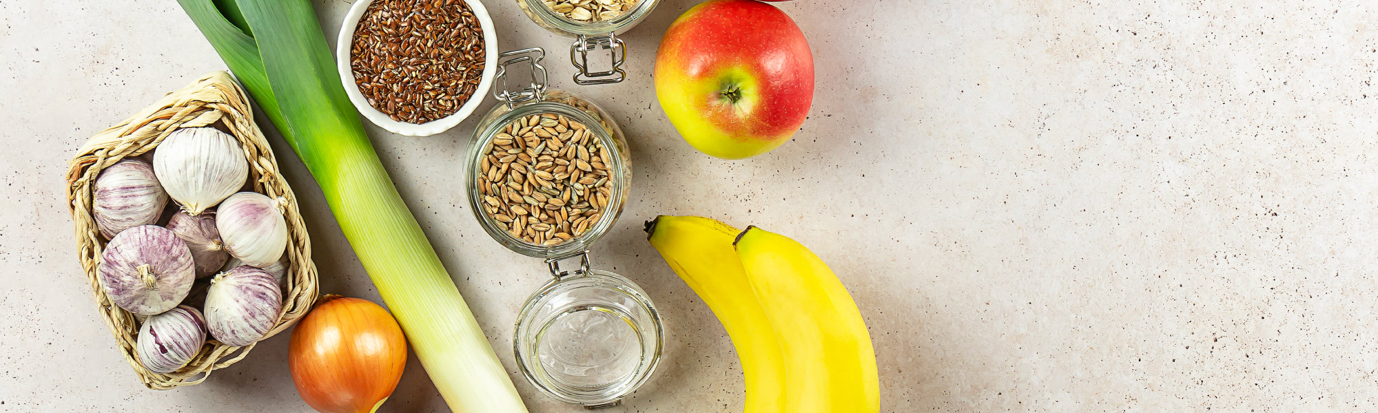 Prebiotics 101: The Essential Guide to Gut Health – Cielo Daily