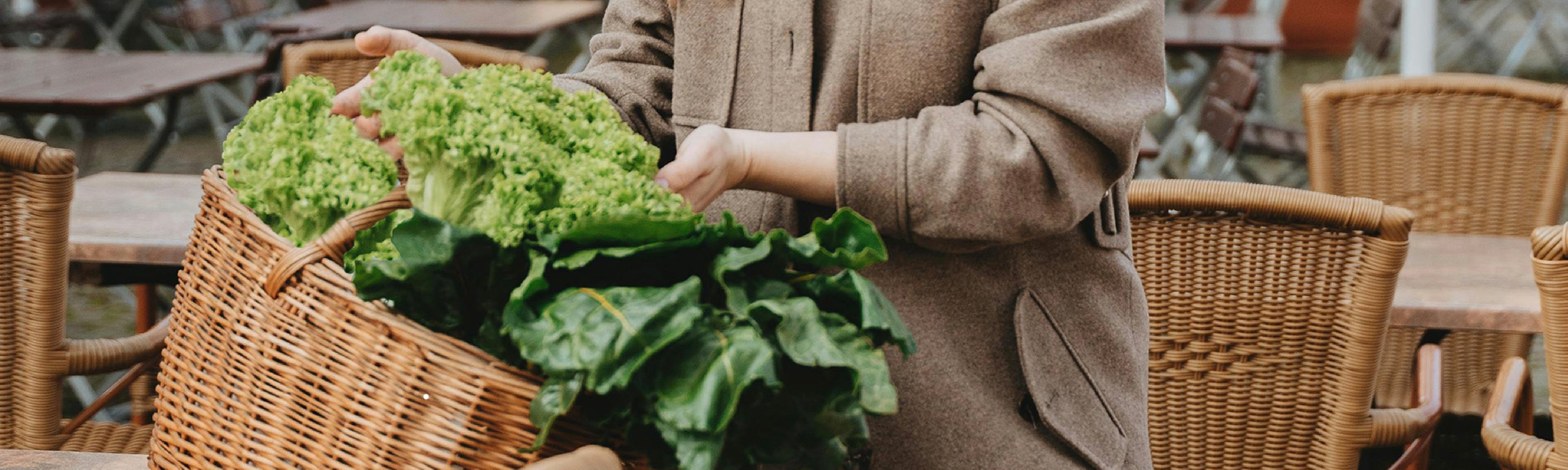 Dr. Kenny’s 10 Favorite Gut Healing Foods