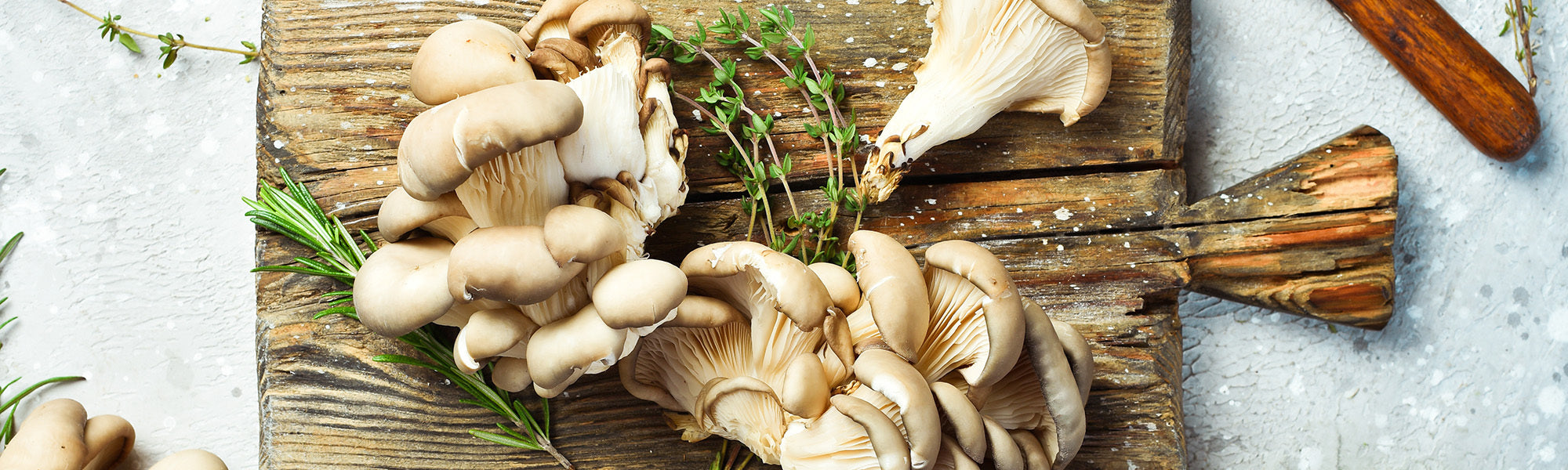 7 Grounding Foods for Digestion, Immunity & Emotional Balance