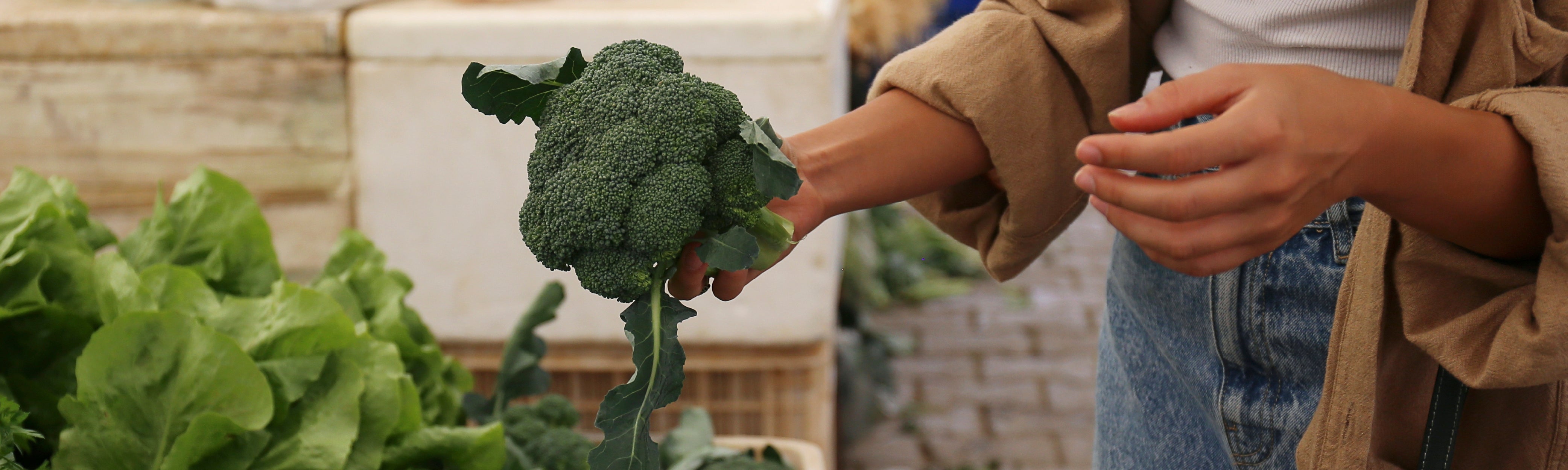 3 Essential Pillars of Health Optimization