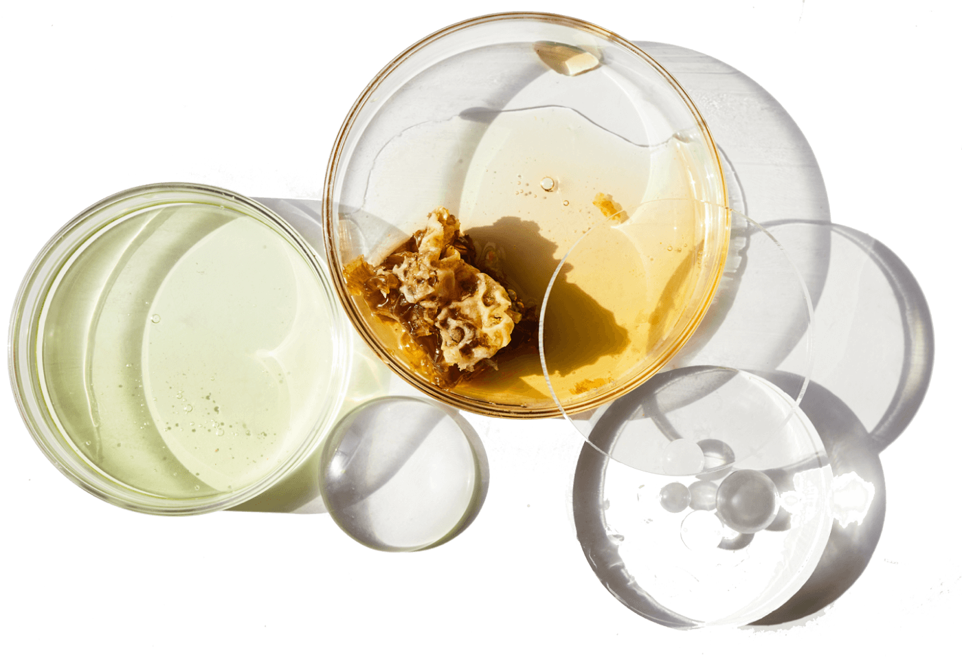 science-backed supplement formulas