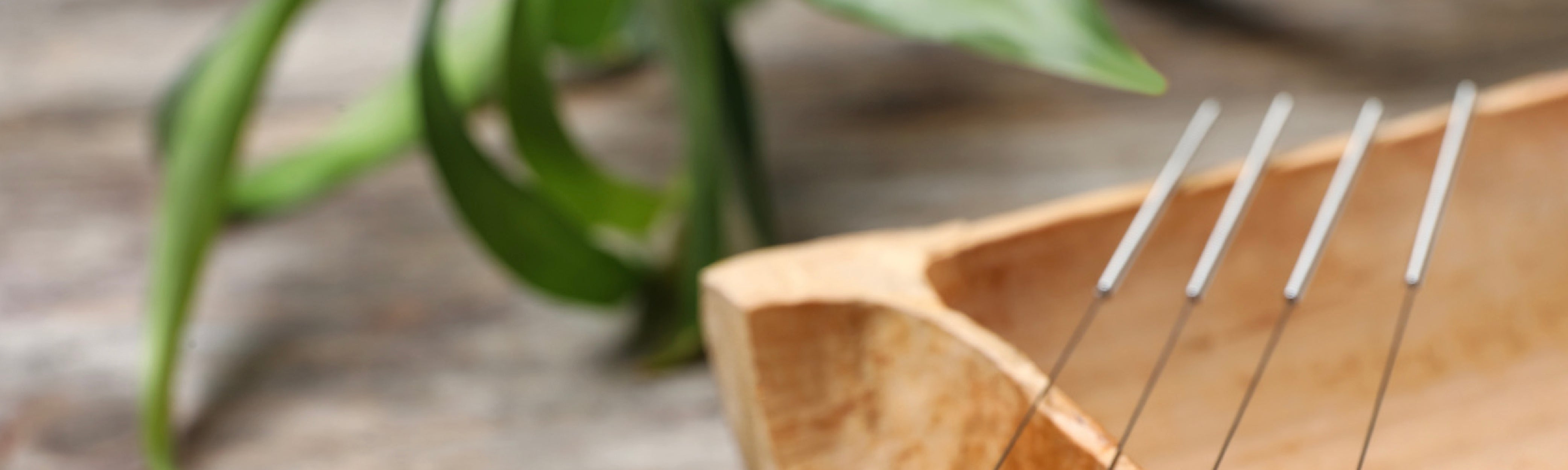 How Acupuncture Enhances Gut Health: Traditional & Modern Insights